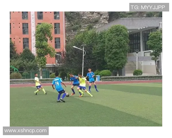 青春绿茵场上的梦想与奋斗学校足球小说的热血故事